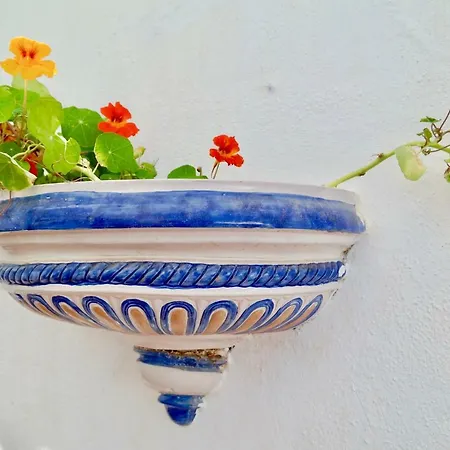 Apartment Amazing Sea Views Duplex With Garden, El Porton De Mijas